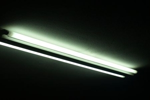 The Indoor Garden: Let There Be Lights